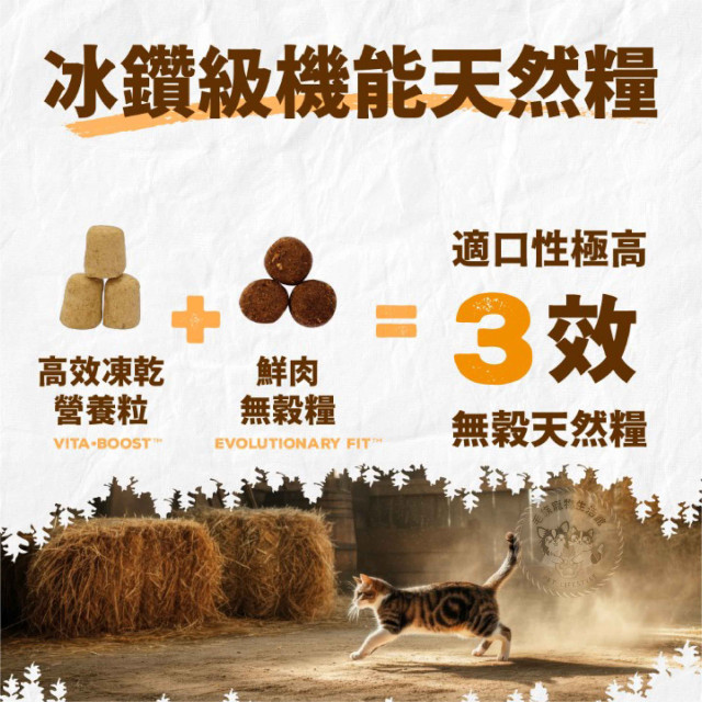 加拿大 Coevo 天野 貓鮮肉機能凍乾＋高蛋白無穀乾糧 1.81kg 貓主食 貓乾糧 貓飼料 冰鑽
