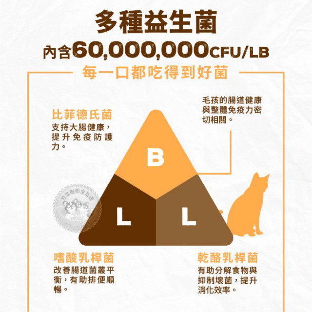 加拿大 Coevo 天野 貓鮮肉機能凍乾＋高蛋白無穀乾糧 1.81kg 貓主食 貓乾糧 貓飼料 冰鑽