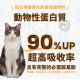 加拿大 Coevo 天野 貓鮮肉機能凍乾＋高蛋白無穀乾糧 1.81kg 貓主食 貓乾糧 貓飼料 冰鑽